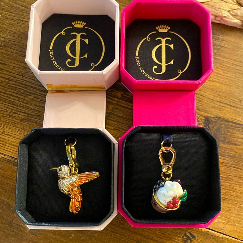 2 Beautiful Juicy Couture collectable Charms with original boxes